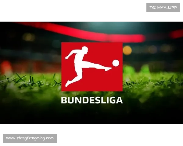 德甲今年的升级球队名单及实力评估 德甲今年的升级球队名单及实力评估