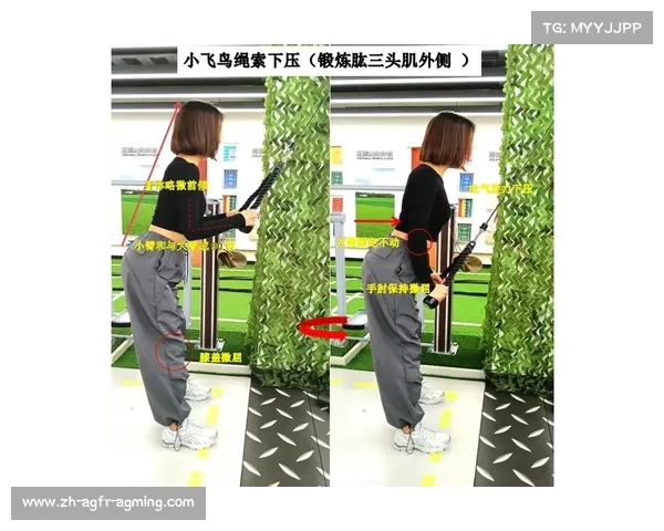 新手健身器材推荐:入门装备全攻略 新手健身器材推荐:入门装备全攻略