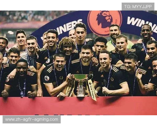 本赛季英超联赛中的中资球队及投资背景分析