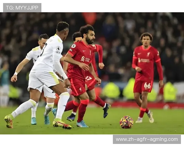 贝尔格莱德红星欧冠夺冠赛季全解析