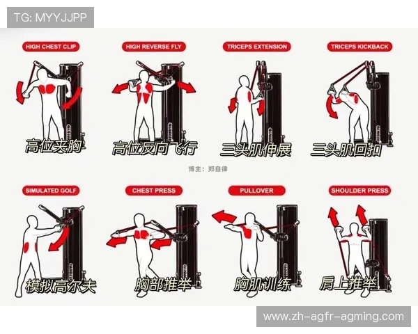 臀部塑形专用健身器材推荐与指南 臀部塑形专用健身器材推荐与指南