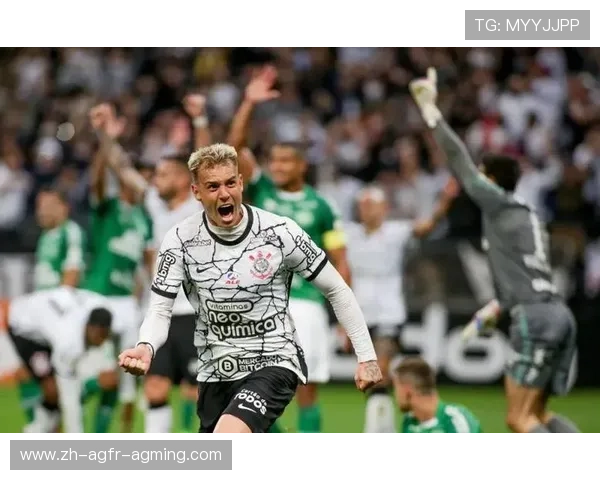 雪缘巴西甲级联赛积分榜最新更新与分析