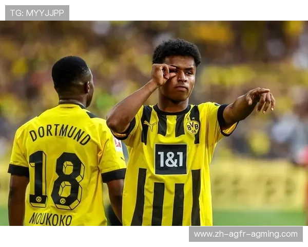 后防新星引关注多特蒙德初步谈判法马利康20岁球员易卜拉希马